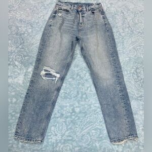 American Eagle Outfitters Light Blue Straight Jeans